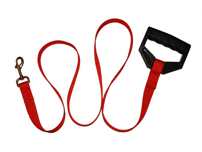 Dog Leash